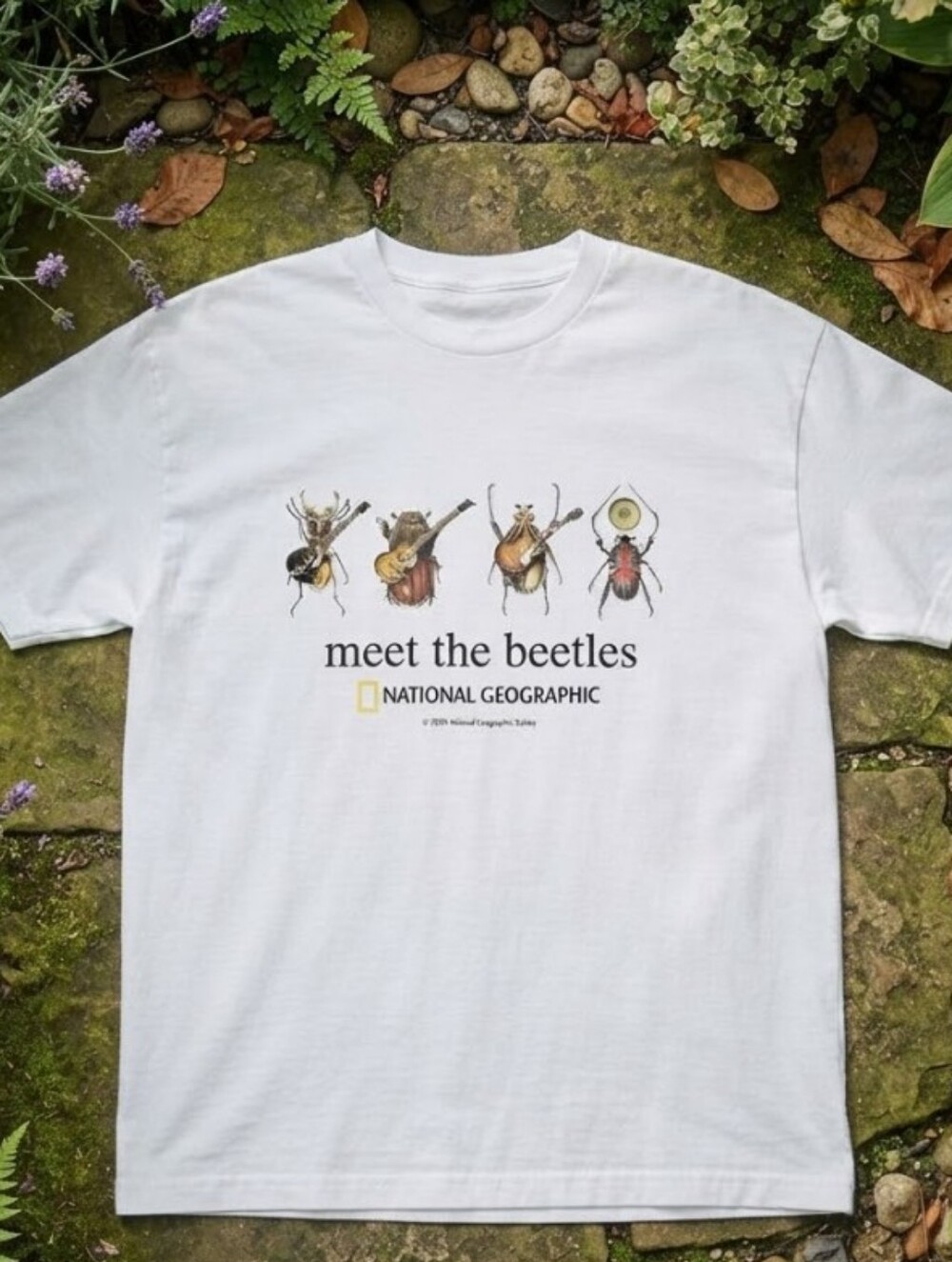 National Geographic Meet the Beetles with four beetles playing Tee